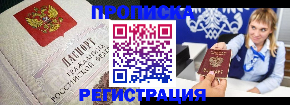прописка поиск в Купино
